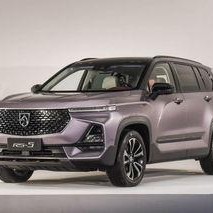 2019国产精品,匠心独运，绽放时代光彩